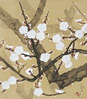 〈Hakubai (White Japanese apricot blossoms)〉 painted by Yasuda Yukihiko