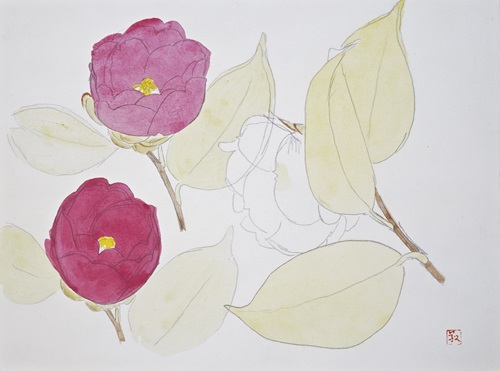 [Tsubaki (Camellia)] painted by Yasuda Yukihiko